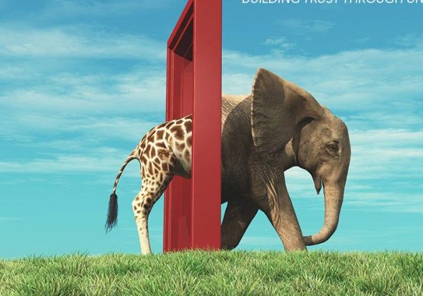 The-Elephant-Crossing-Building-Product-Trust